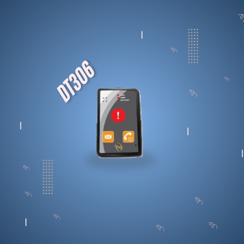 DT306
